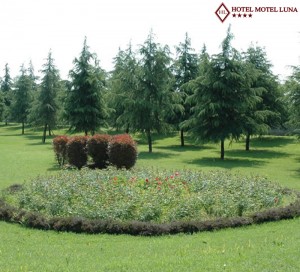 Giardino privato - Hotel Motel Aeroporto Linate