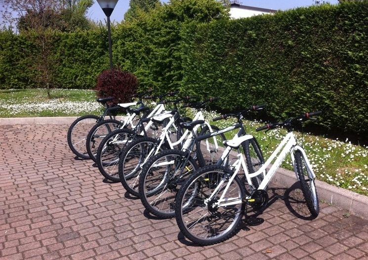 Biciclette da uomo e da donna a disposizione gratis degli ospiti nel giardino dell'Hotel Motel Luna
